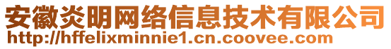 安徽炎明網(wǎng)絡(luò)信息技術(shù)有限公司