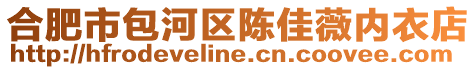 合肥市包河區陳佳薇內衣店