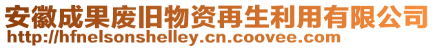 安徽成果廢舊物資再生利用有限公司