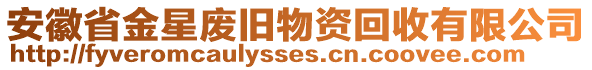 安徽省金星廢舊物資回收有限公司