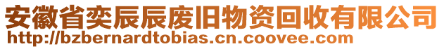 安徽省奕辰辰廢舊物資回收有限公司