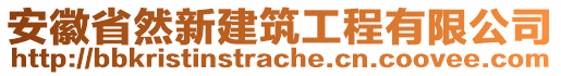 安徽省然新建筑工程有限公司