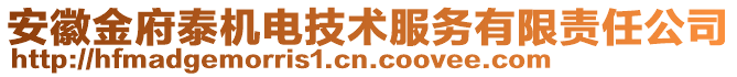 安徽金府泰機電技術(shù)服務(wù)有限責任公司