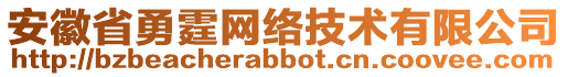 安徽省勇霆網(wǎng)絡(luò)技術(shù)有限公司