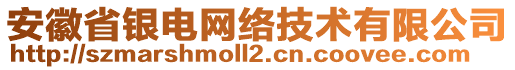 安徽省銀電網(wǎng)絡技術(shù)有限公司