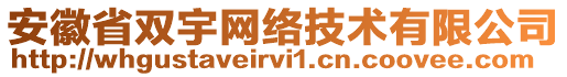 安徽省雙宇網(wǎng)絡(luò)技術(shù)有限公司