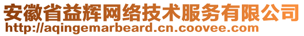 安徽省益輝網(wǎng)絡(luò)技術(shù)服務(wù)有限公司