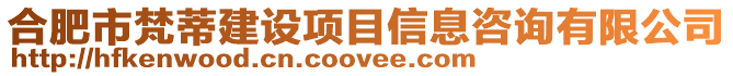 合肥市梵蒂建設(shè)項(xiàng)目信息咨詢有限公司