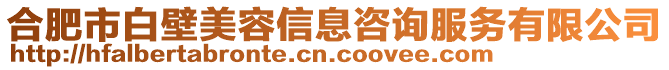 合肥市白壁美容信息咨詢服務(wù)有限公司