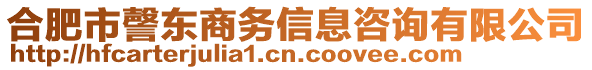 合肥市謦東商務(wù)信息咨詢有限公司