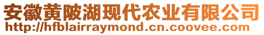 安徽黃陂湖現(xiàn)代農(nóng)業(yè)有限公司