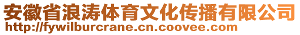 安徽省浪濤體育文化傳播有限公司