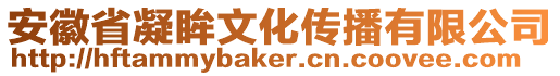安徽省凝眸文化傳播有限公司