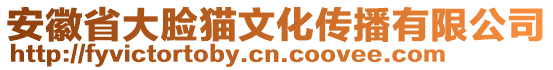 安徽省大臉貓文化傳播有限公司