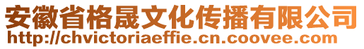 安徽省格晟文化傳播有限公司