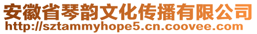 安徽省琴韻文化傳播有限公司