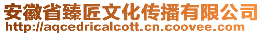安徽省臻匠文化傳播有限公司
