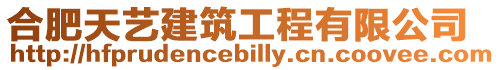 合肥天藝建筑工程有限公司