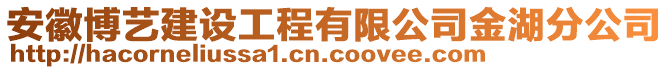 安徽博藝建設工程有限公司金湖分公司