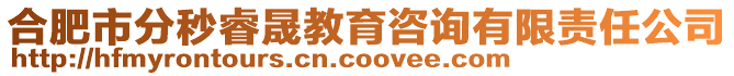 合肥市分秒睿晟教育咨詢有限責任公司