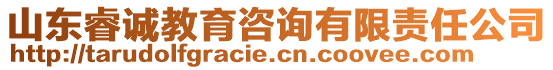 山東睿誠教育咨詢有限責(zé)任公司