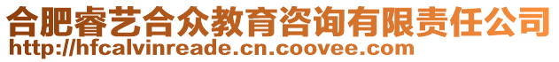 合肥睿藝合眾教育咨詢有限責任公司