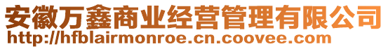 安徽萬鑫商業經營管理有限公司