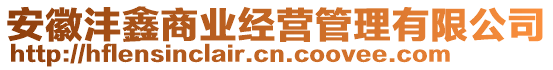 安徽灃鑫商業(yè)經(jīng)營管理有限公司