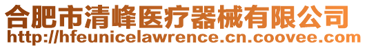 合肥市清峰醫療器械有限公司