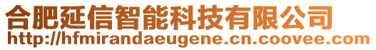 合肥延信智能科技有限公司