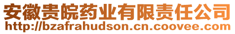 安徽貴皖藥業有限責任公司