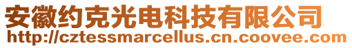 安徽約克光電科技有限公司