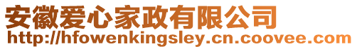 安徽愛(ài)心家政有限公司