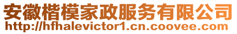 安徽楷模家政服務(wù)有限公司