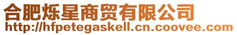 合肥爍星商貿有限公司