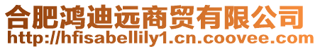 合肥鴻迪遠(yuǎn)商貿(mào)有限公司