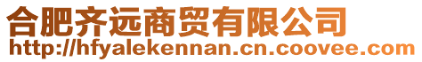 合肥齊遠商貿有限公司