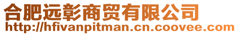 合肥遠彰商貿有限公司
