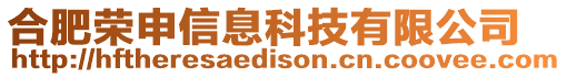 合肥榮申信息科技有限公司