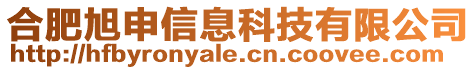 合肥旭申信息科技有限公司