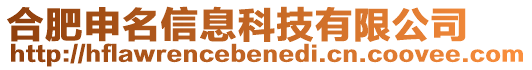 合肥申名信息科技有限公司