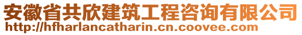 安徽省共欣建筑工程咨询有限公司