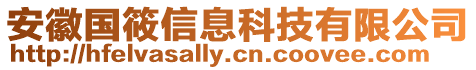 安徽國筱信息科技有限公司