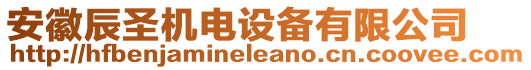 安徽辰圣機(jī)電設(shè)備有限公司