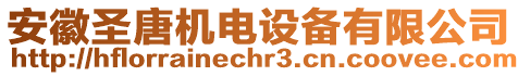 安徽圣唐機(jī)電設(shè)備有限公司