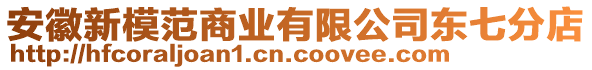 安徽新模范商業(yè)有限公司東七分店