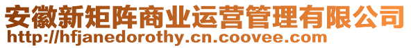 安徽新矩陣商業(yè)運營管理有限公司