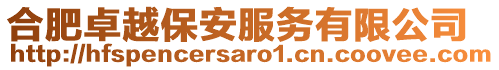 合肥卓越保安服務有限公司