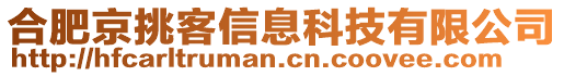 合肥京挑客信息科技有限公司