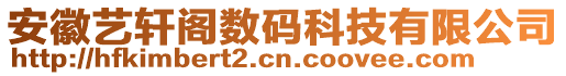 安徽藝軒閣數(shù)碼科技有限公司